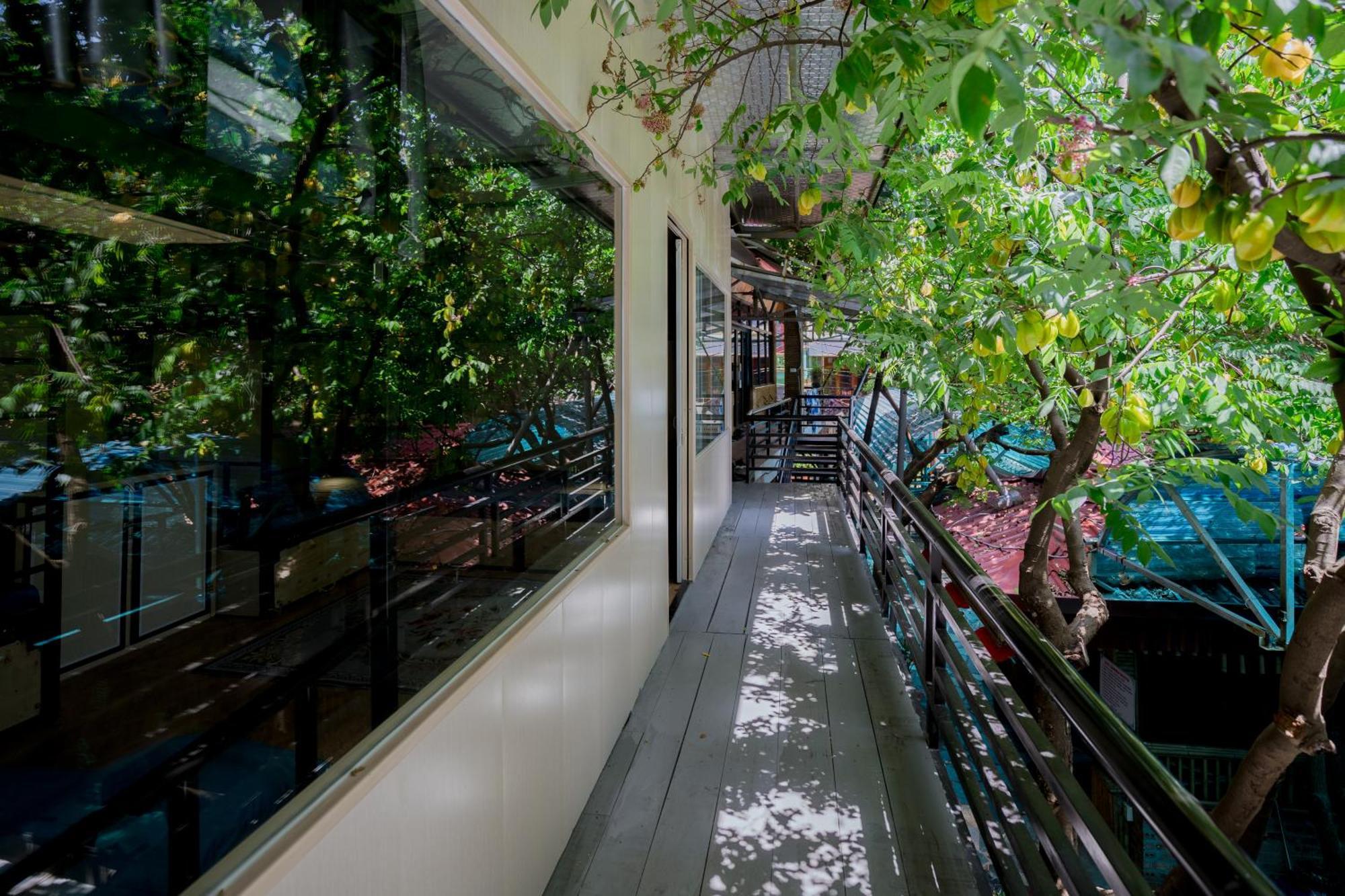 City Garden Hostel Ninh Binh Exterior foto